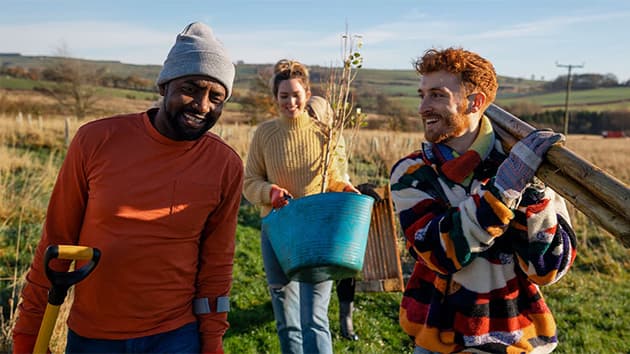 A group tree planting