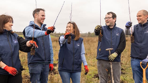 AXA employees planting trees