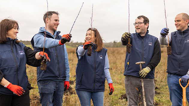 AXA employees planting trees
