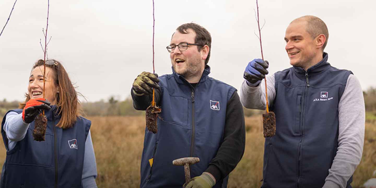 AXA staff tree planting